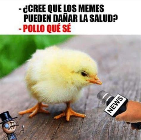 memes divertidos en espanol
